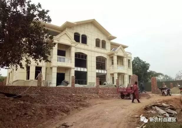 65建兄弟雙拼別墅，重回農(nóng)村，只為父母的期盼