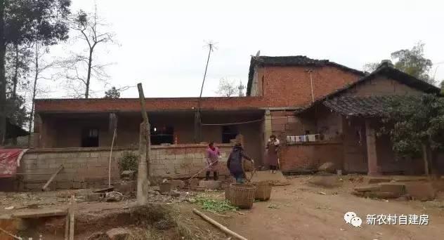 65建兄弟雙拼別墅，重回農(nóng)村，只為父母的期盼