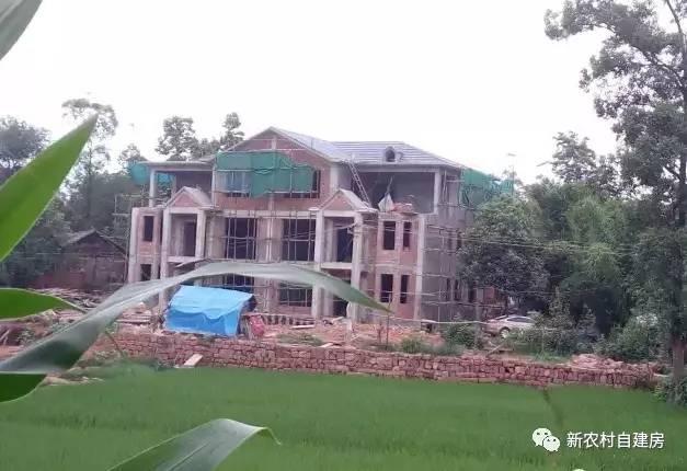 65建兄弟雙拼別墅，重回農(nóng)村，只為父母的期盼