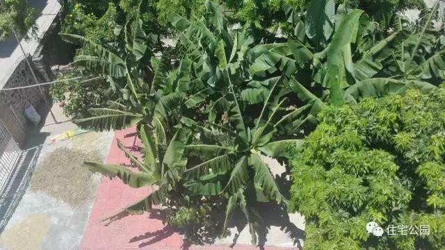 海南三層別墅，只為這片云一切都值了！