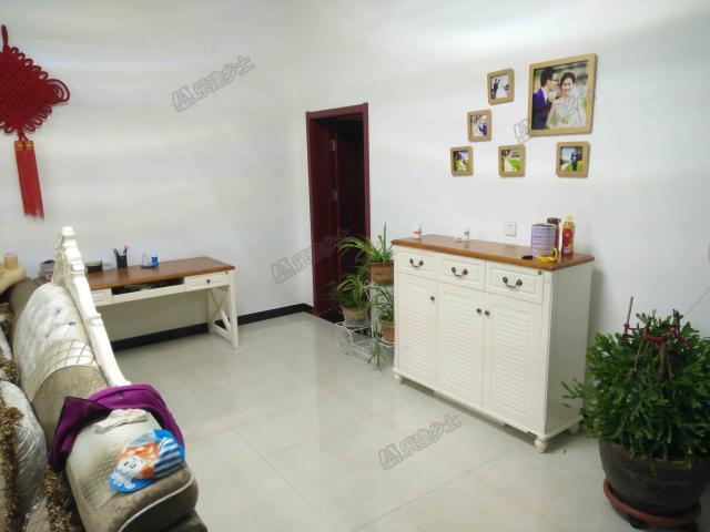 華北地區(qū)典型一層自建房實景展示，相信你曾在哪兒見過