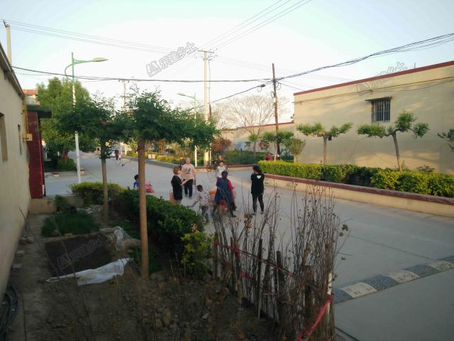 華北地區(qū)典型一層自建房實景展示，相信你曾在哪兒見過