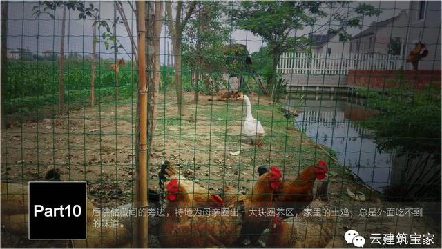 清明小長假，寶家業(yè)主回鄉(xiāng)下，一起來體驗寶家自建別墅一天的日常