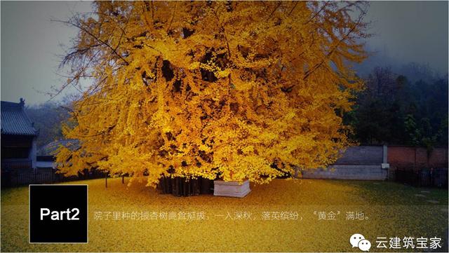 清明小長假，寶家業(yè)主回鄉(xiāng)下，一起來體驗寶家自建別墅一天的日常