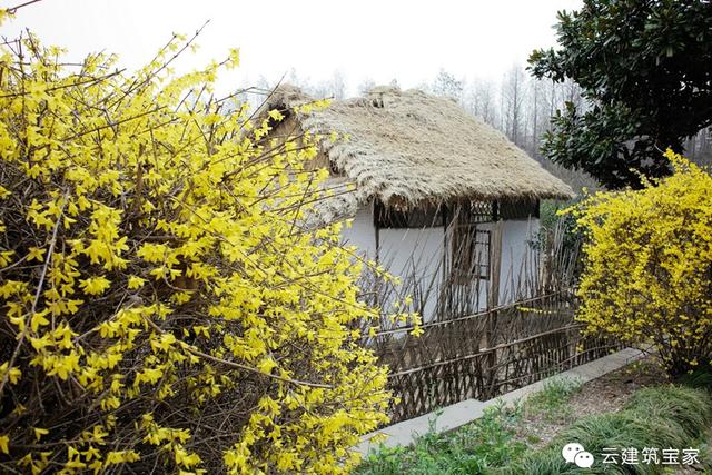 寶家小菜鳥奇遇記，我的第一次就這樣獻(xiàn)給了