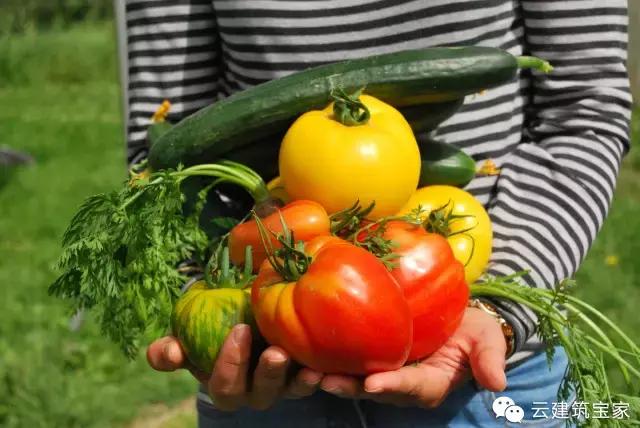 田園風(fēng)景房，未來舒適生活的新標(biāo)桿