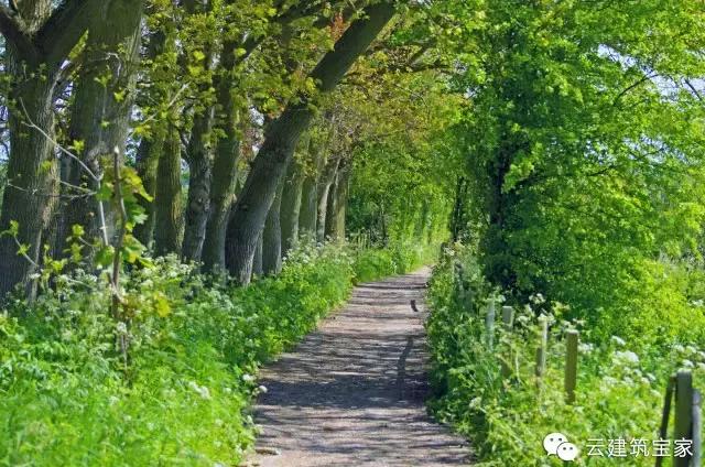 田園風(fēng)景房，未來舒適生活的新標(biāo)桿