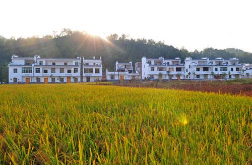 自建房不得超過(guò)3層！江西贛州就農(nóng)村自建房管理辦法對(duì)外征求意見(jiàn)