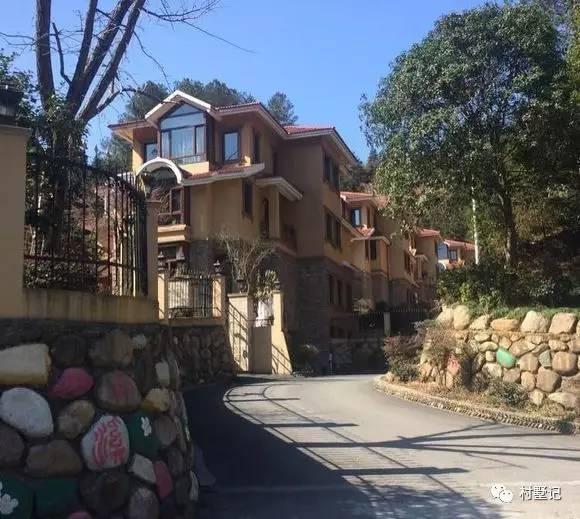 實(shí)拍10款農(nóng)村建的別墅，隨便一套都能讓你在村里挺直腰桿