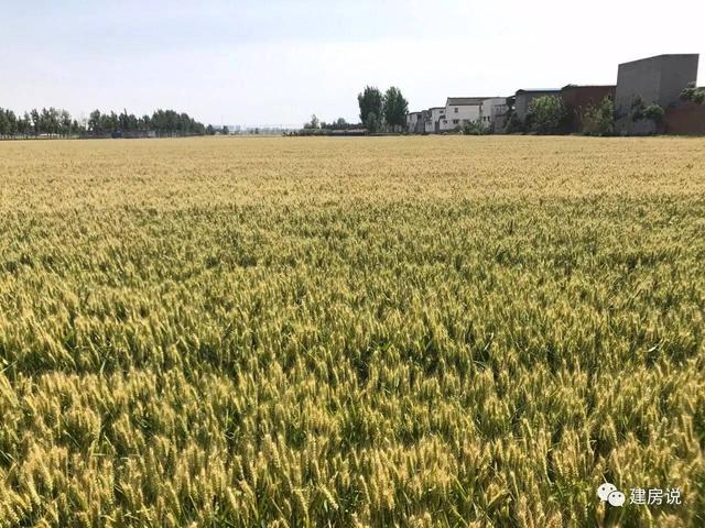 美如畫，網(wǎng)友在農(nóng)村建造的獨門小別墅，出門就是田園風(fēng)光