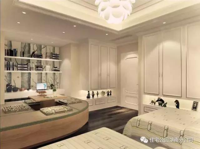 11X12米農(nóng)村別墅，柴火房鍋爐房，影視廳健身房樣樣全！