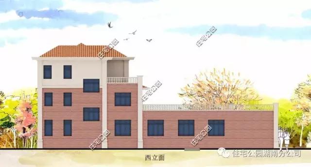 11X12米農(nóng)村別墅，柴火房鍋爐房，影視廳健身房樣樣全！