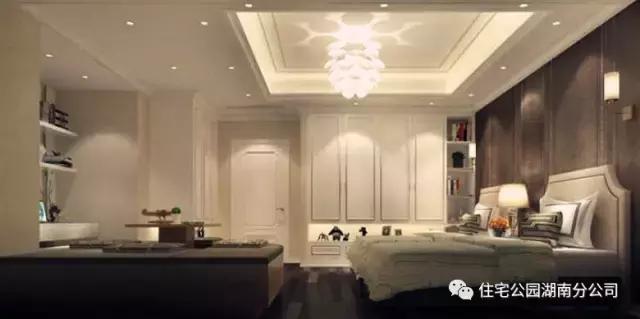 11X12米農(nóng)村別墅，柴火房鍋爐房，影視廳健身房樣樣全！