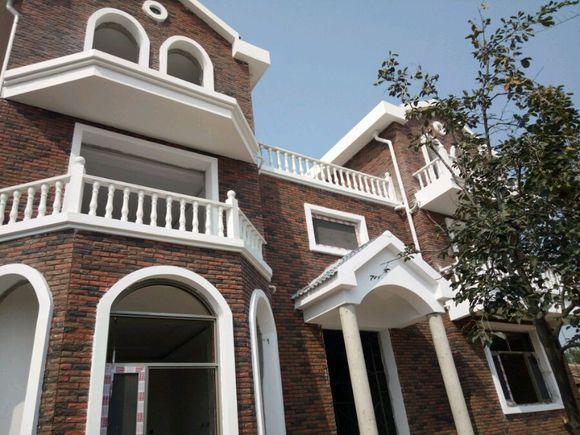 因為窮相親被嫌棄，5年后逆襲回鄉(xiāng)建豪宅