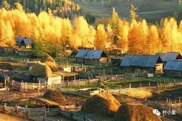 讓房地產(chǎn)商竊喜的第四代住房，竟輸給了鄉(xiāng)村自建房