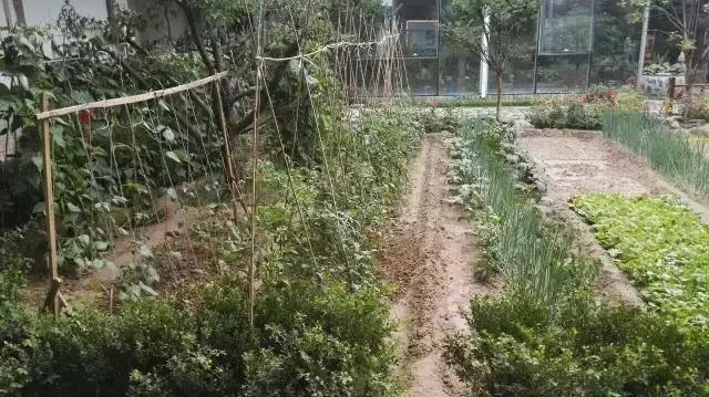 京郊的田園庭院，您也可以擁有