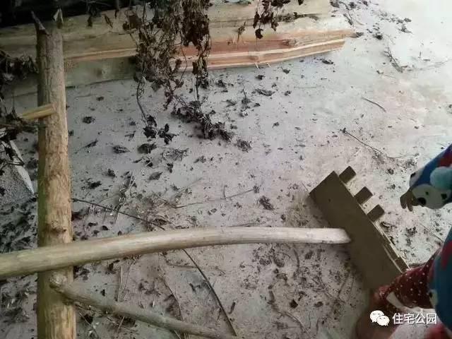 重慶蓋房直播，房主充當(dāng)小工親自上陣，建成36萬(wàn)引全村圍觀！