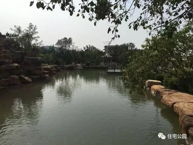 山東豪擲500萬自建園林美景，故宮后花園都不能與之匹敵！