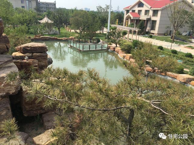 山東豪擲500萬自建園林美景，故宮后花園都不能與之匹敵！