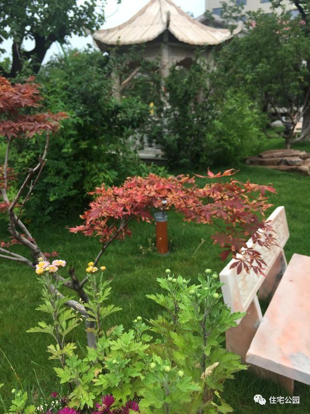 山東豪擲500萬自建園林美景，故宮后花園都不能與之匹敵！