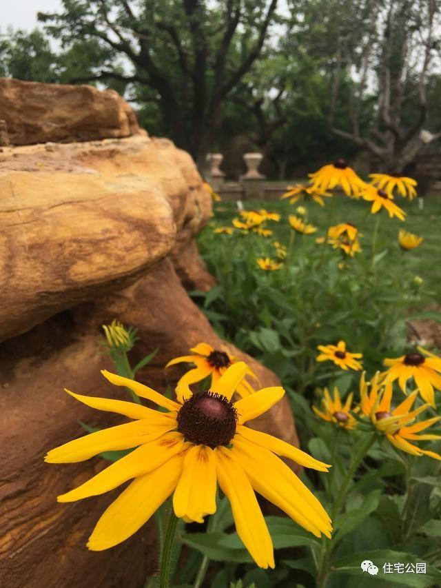 山東豪擲500萬自建園林美景，故宮后花園都不能與之匹敵！