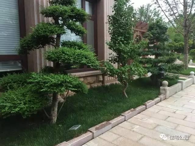 山東豪擲500萬自建園林美景，故宮后花園都不能與之匹敵！