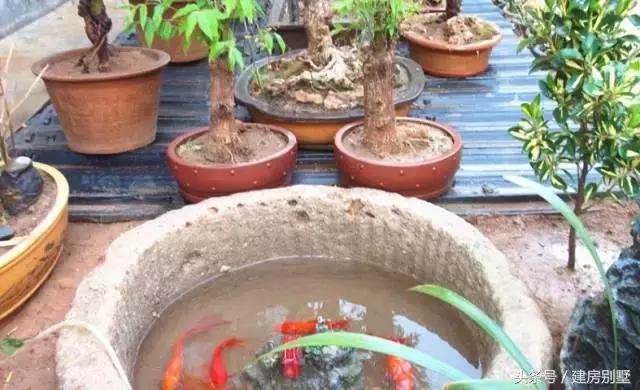 陜西自建四合院式住宅，古色古香，全被一個海爾太陽能熱水器毀了