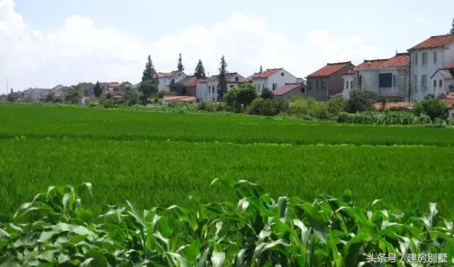 江蘇美女回娘家干了件動靜不小的事兒，鄰村的都跑來看熱鬧