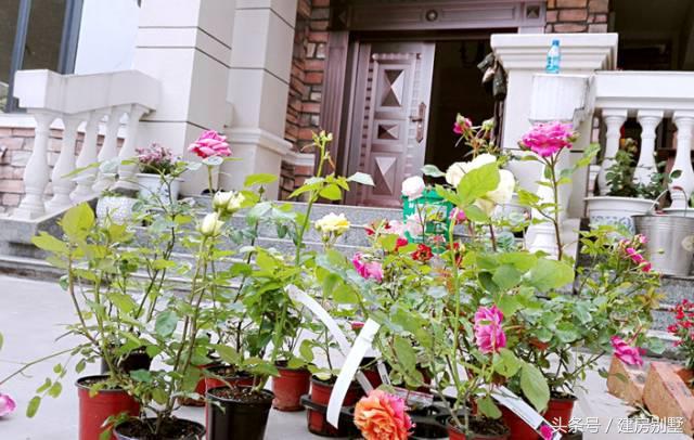 女漢子大年三十不看春晚籌劃建房，有壁爐、露臺(tái)和薔薇花墻