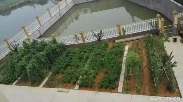 湖南80后帶媳婦回家蓋起農(nóng)村別墅，從此過(guò)上“地主”般的生活