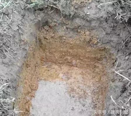 贛南不止臍橙種的好吃，農(nóng)村別墅蓋得也是一級棒