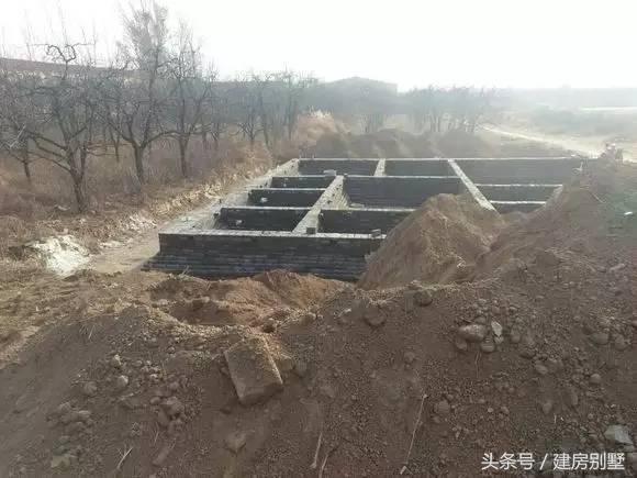 河北兄弟自建兩層聯(lián)排住宅，外觀氣勢(shì)仿若“故宮”