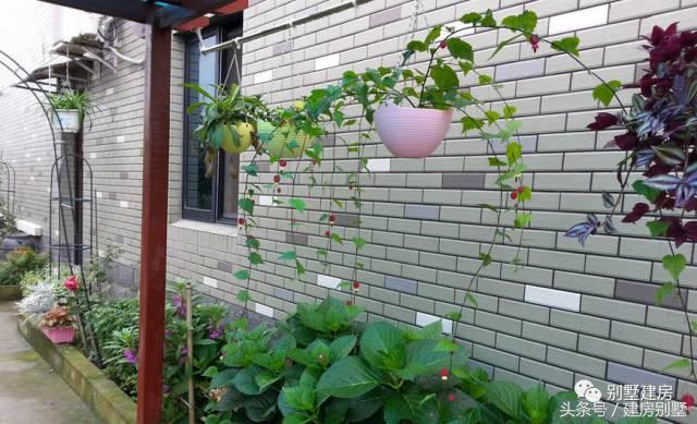 浙江湖州土豪老板自建三層豪宅，快活似神仙