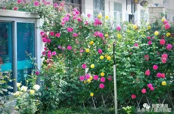 浙江湖州土豪老板自建三層豪宅，快活似神仙