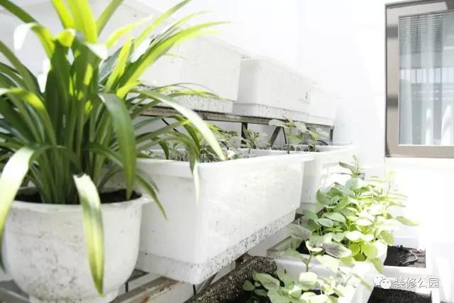 6.5米X11米，滿眼綠色的鄉(xiāng)村別墅，含平面圖