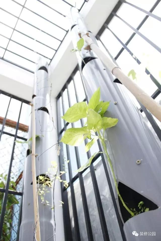 6.5米X11米，滿眼綠色的鄉(xiāng)村別墅，含平面圖