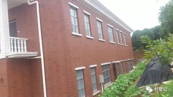 婆婆執(zhí)意要兩兄弟自建農(nóng)村雙拼別墅，沒想到建出來效果驚人