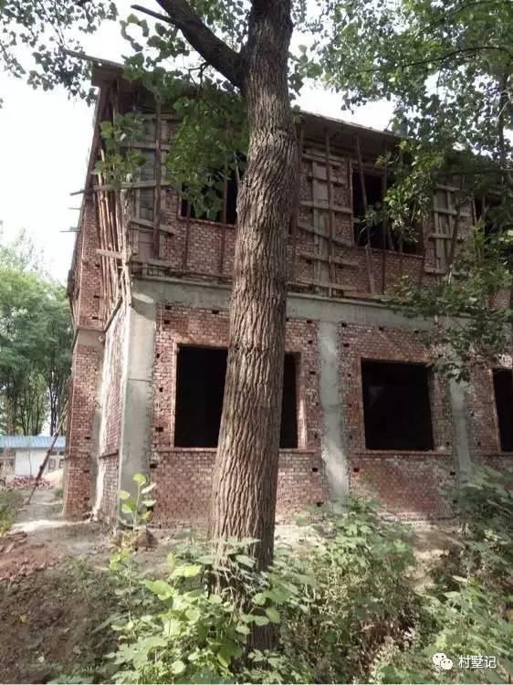 安徽網(wǎng)友為父母自建二層復(fù)式農(nóng)村別墅，美得不敢看