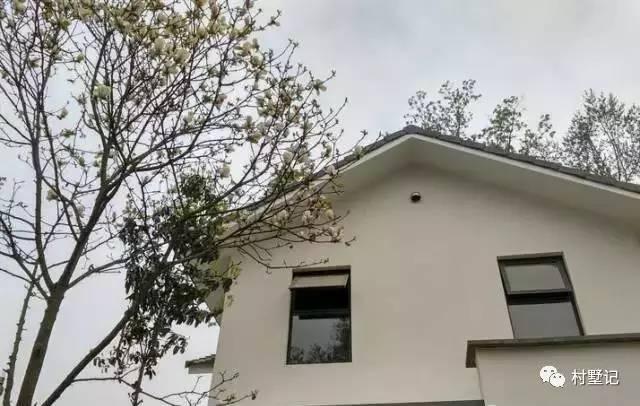 湖北老板40萬建中式農(nóng)村別墅，看一眼就心動(dòng)