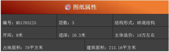 9X10米農(nóng)村小別墅戶型，5室2廳帶露臺(tái)，外觀造型大氣。