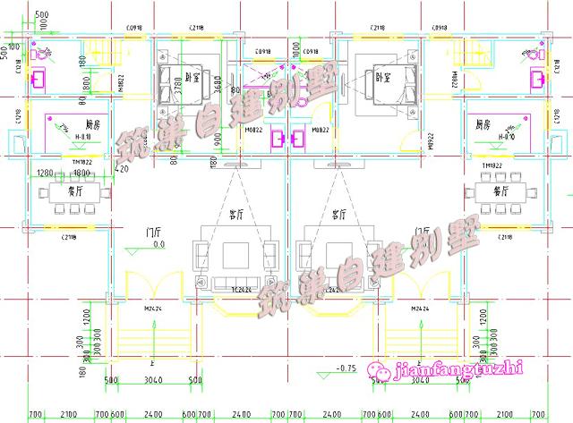 二層農(nóng)村兄弟雙拼房別墅設(shè)計圖效果圖，總面積450平方米22x11米，對稱設(shè)計彰顯房屋的氣勢