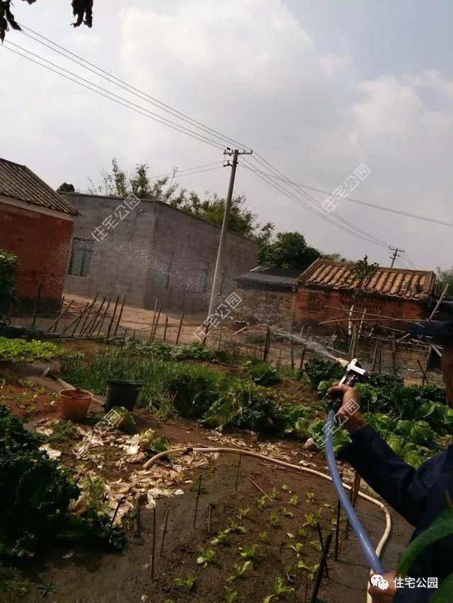 曬家丨回鄉(xiāng)蓋別墅，80歲母親全程監(jiān)工，60萬建成引來全鄉(xiāng)觀摩！