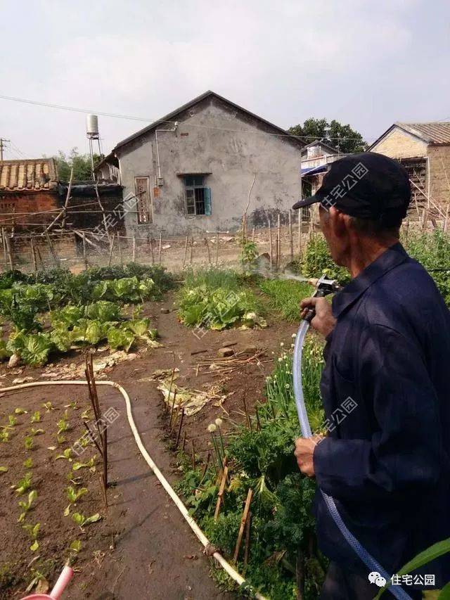 曬家丨回鄉(xiāng)蓋別墅，80歲母親全程監(jiān)工，60萬建成引來全鄉(xiāng)觀摩！