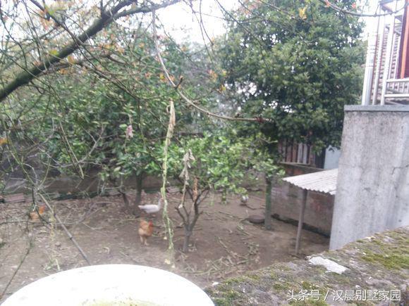 自建三層別墅，附平面設計圖，造價30萬左右，12X9.3米有露臺和院子