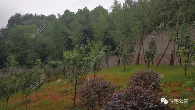 今日實(shí)例別墅設(shè)計(jì)圖，回農(nóng)村建別墅，也算是衣錦還鄉(xiāng)了，還可以盡盡孝道