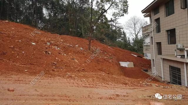 今日實(shí)例別墅設(shè)計(jì)圖，回農(nóng)村建別墅，也算是衣錦還鄉(xiāng)了，還可以盡盡孝道