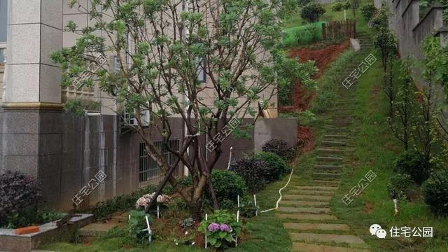 今日實(shí)例別墅設(shè)計(jì)圖，回農(nóng)村建別墅，也算是衣錦還鄉(xiāng)了，還可以盡盡孝道