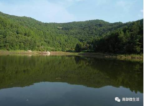 農(nóng)村小伙自建一層小別墅過程全直播，自建房的可以看看哦