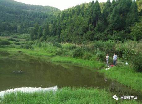 農(nóng)村小伙自建一層小別墅過程全直播，自建房的可以看看哦