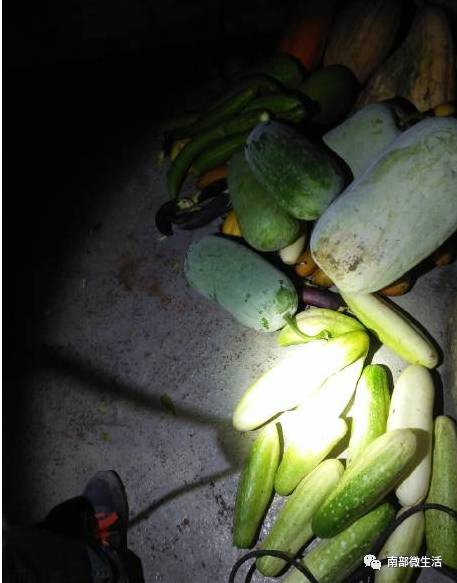 農(nóng)村小伙自建一層小別墅過程全直播，自建房的可以看看哦